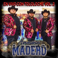 EN VIVO CON TOLOLOCHE, Vol. 2 (En vivo) - Hermanos Madero