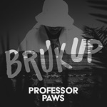 Professor Paws - Bruk Up