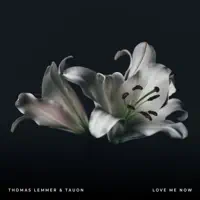 Love Me Now — Thomas Lemmer & Tauon