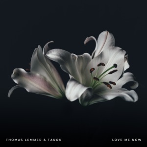Love Me Now - Single