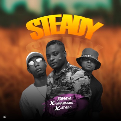 Steady (feat. Styleo & Nwammiata) - Single