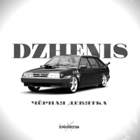 Чёрная девятка (ENDORFIN REMIX) - Single - Dzhenis