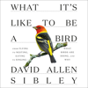 What It's Like to Be a Bird: From Flying to Nesting, Eating to Singing - What Birds Are Doing, and Why (Sibley Guides) (Unabridged) - David Allen Sibley