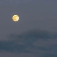 Comfort In Anything - Single - 96 Zeus & Krynoze