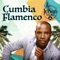 Cumbia Flamenco artwork