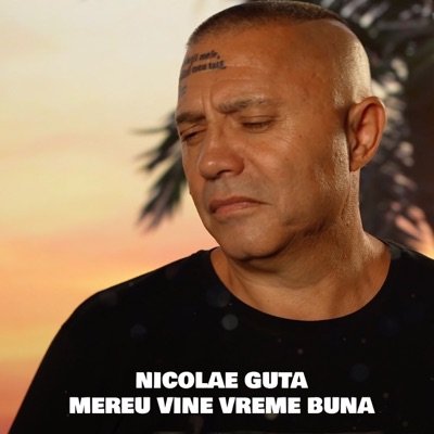 Nicolae Guță - Mereu vine vreme buna
