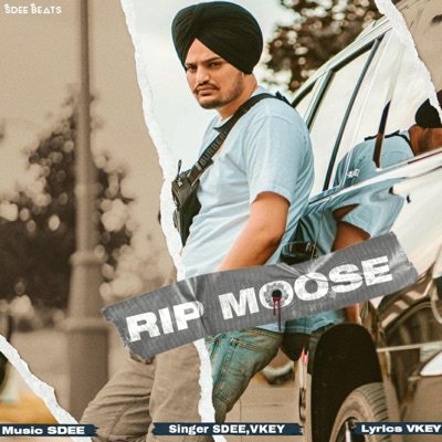 RIP MOOSE (feat. VKEY) - Single