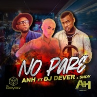 No Pare (feat. Dj Dever) - Single - Armando-Heidy & sndy