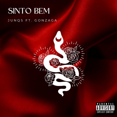 Sinto Bem (feat. Gonzaga) - Single