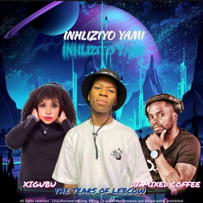 Inhliziyo (feat. Xigubu & Dj Mixed coffee) - Single