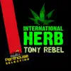 Stream & download International Herb - Single