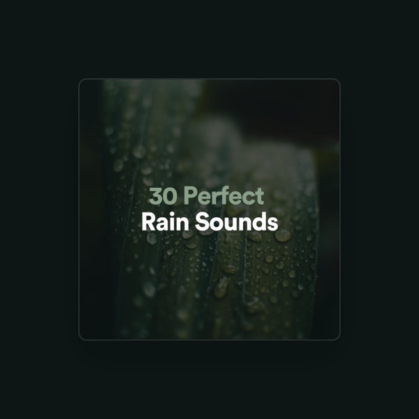 Rainfall's avatar