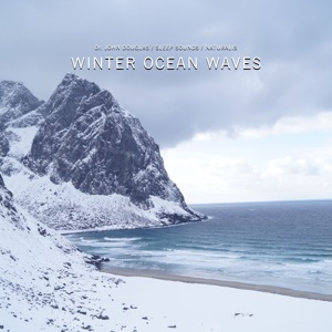 Winter Ocean Waves