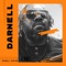 Darnell (Instrumental Version) - Darnell Graham lyrics