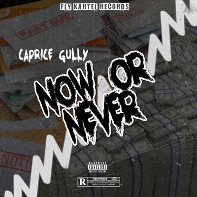 Now Or Never - Single