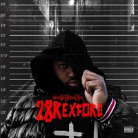 28 Rexford - Noonsz Debonair