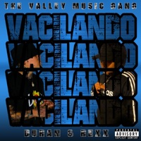 Vacilando (feat. DURAN OFFICIAL EL DE LA D) - Single - REXX Official