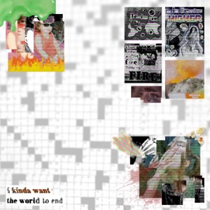 I Kinda Want the World To End - Single