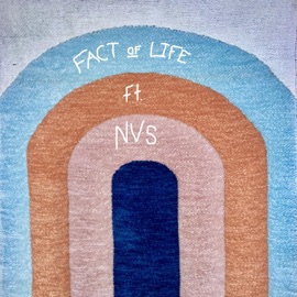 Fact of Life (feat. NVS) Zayga
