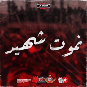 نموت شهيد