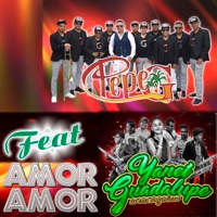 Amor Amor (feat. Yaneth Guadalupe) - Single - Pepe G