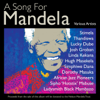 World in Union (feat. Ladysmith Black Mambazo) - PJ Powers