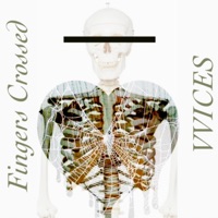 Fingers Crossed - Single - Vvices