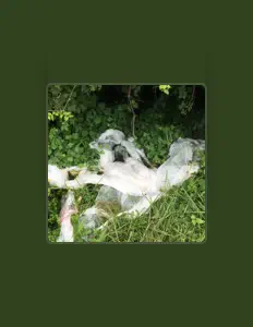 Listen to Mozrat, watch music videos, read bio, see tour dates & more!