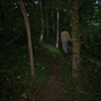 Fool! - Single - shae