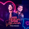 A Gente Briga, Mas a Gente Se Ama - Single