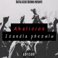 Izandla phezulu (feat. Akalicious) - Single - SkyManBeats031