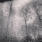 Come On Down (feat. Joe Talbot) - METZ lyrics