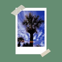 Looks Like Summer - Single - JBC & Young Wabo