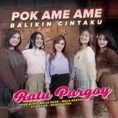 Pok Ame Ame Balikin Cintaku artwork