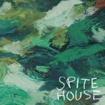 Afraid by Spite House