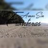 Amor Sin Fronteras - Single