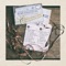 Build Your Kingdom Here - Rend Collective lyrics