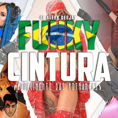 Funky Cintura (Aquecimento das Potrancas) - Single