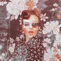 Жизнь моя книга - Single - Dreams Shadow