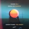 Everything You Want - Single