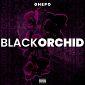 Black Orchid artwork