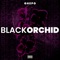 Black Orchid artwork
