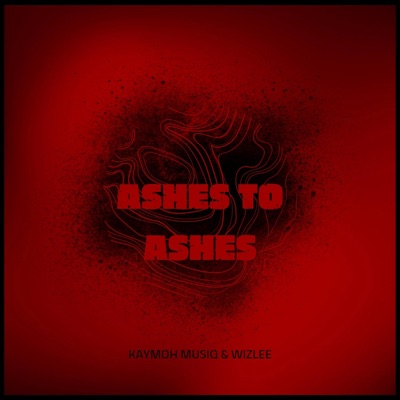 Ashes to ashes (feat. Wizlee) - Single