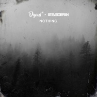 Nothing - Single - Dymd & Steve Brian