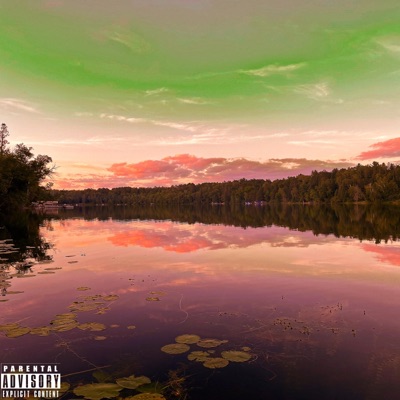 Lofi Feelz - Single