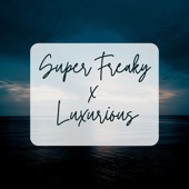 Super Freaky X Luxurious (Remix) artwork