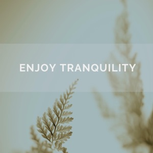 Enjoy Tranquility