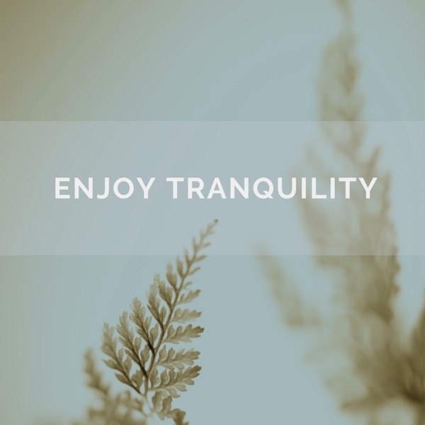 Enjoy Tranquility