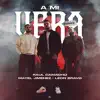 Stream & download A Mi Vera (Remix)