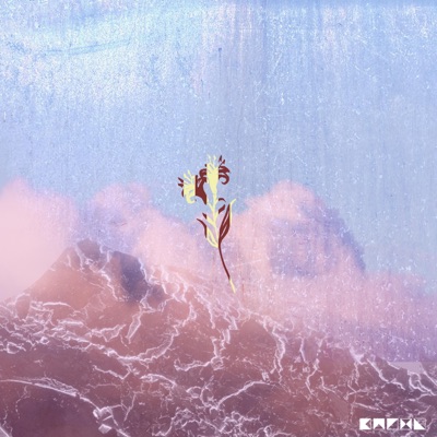 Hypnotized - Single